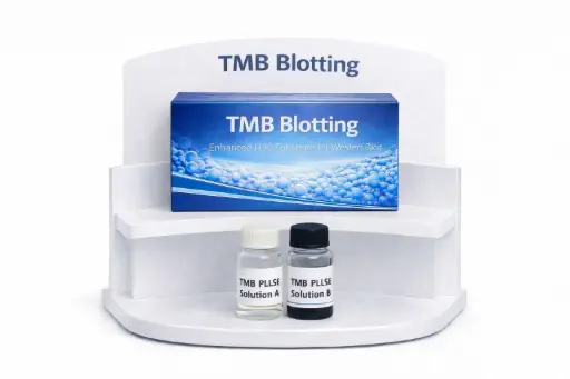 [4450H] TMB Blotting